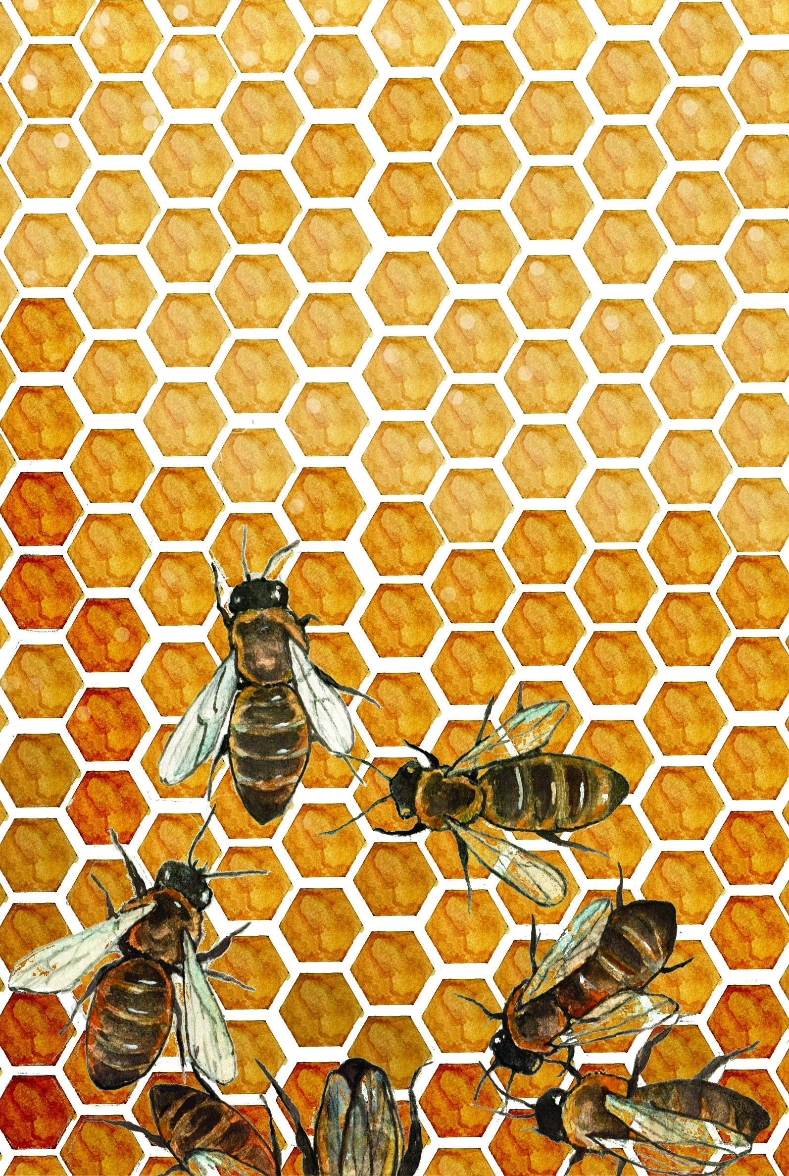 The Keeper of the Bees